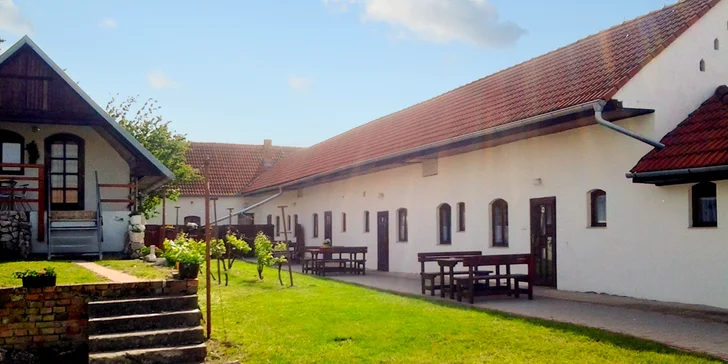 Vinařský pobyt s degustací na jižní Moravě v plně vybaveném apartmánu