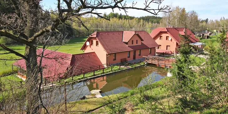 Léto na Vysočině: privátní wellness, jídlo, výlety do přírody a farma pod okny