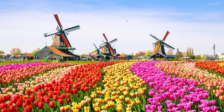 Jeden den v květinovém parku Keukenhof i návštěva Amsterdamu