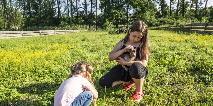 Dostanete také krmivo pro zvířátka, která žijí ve zdejším zookoutku.