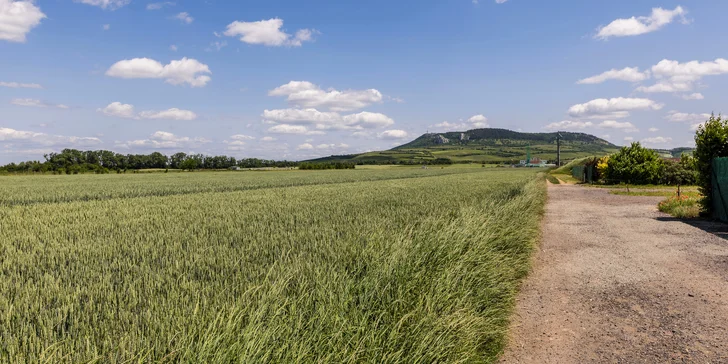 Apartmány sa nachádzajú v krásnej lokalite Dolných Dunajovíc.
