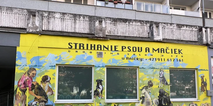 Mačičky tam nájdu komplexnú starostlivosť od pazúrikov po uši.