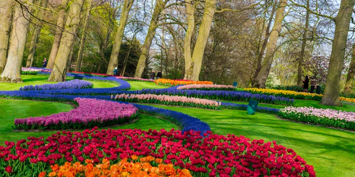 Park Keukenhof se otevírá pouze na pár týdnů v roce, aby tu jeho návštěvníci mohli obdivovat půvab tulipánů nejrůznějších druhů a barev, a to v období, kdy tento symbol Holandska kvete.