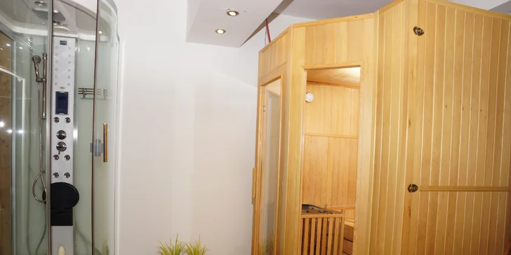 Fínska sauna vo wellness