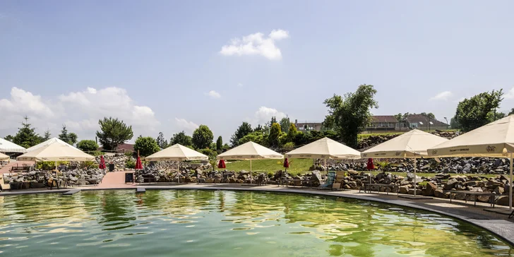 Hotel je jen 2 km od Vyškova a nabízí mnoho vyžití: wellness, biotop a i víceúčelové sportovní hřiště.