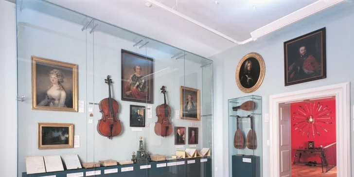 V muzeu jsou i hudební expozice představující staré hudební nástroje.