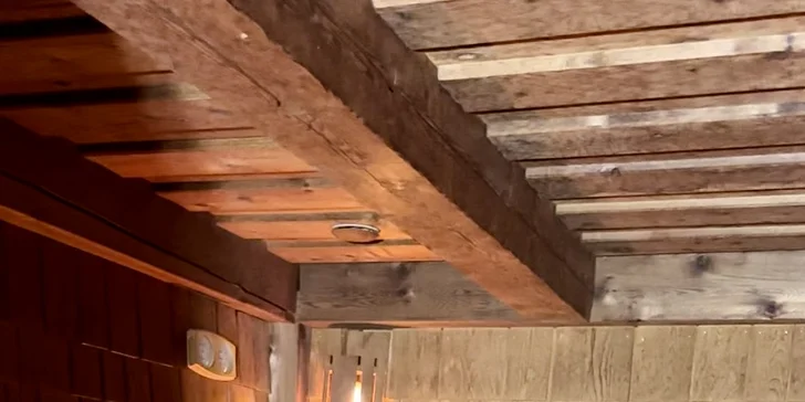 Metličkování trvá jednu hodinu, v sauně budete jen vy a saunamistr/saunamistryně. 