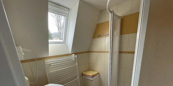 Samozřejmostí je samostatné WC a koupelna se sprchovým koutem.