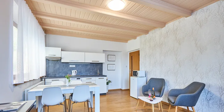 Apartmánová kuchyňka.