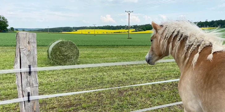  Do vozítka se pohodlně vejde jeden dospělý a až dvě děti, kterým z tohohle zážitku budou určitě svítit oči nadšením! 