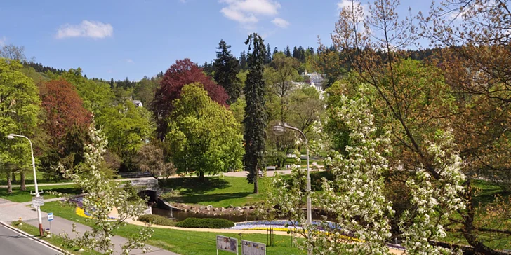 Hned u hotelu je lázeňský park.