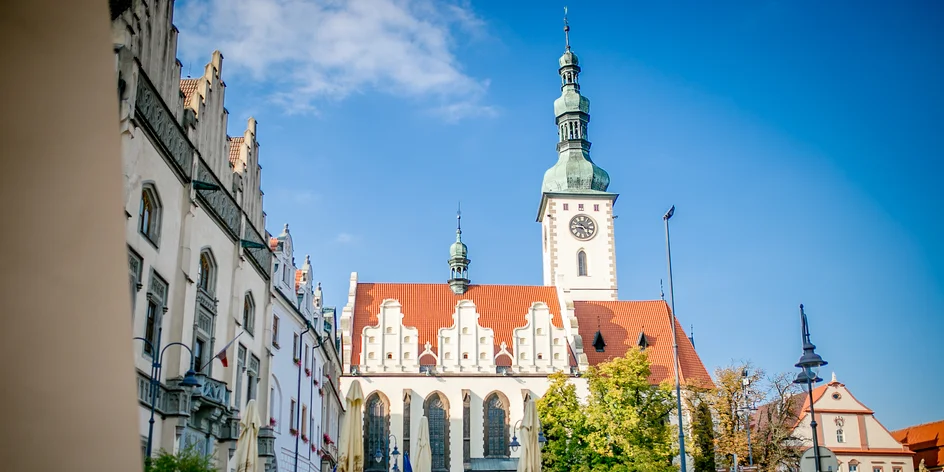 S dětmi do Tábora: ubytování v historickém centru, wellness a parádní zoo