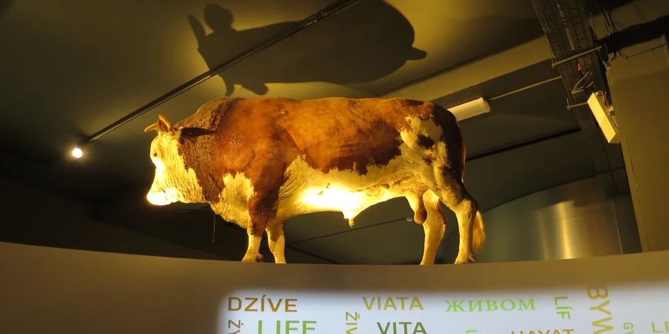 Kam na výlet za poznáním? Zemědělské muzeum, Hadí stezka a kuriozity