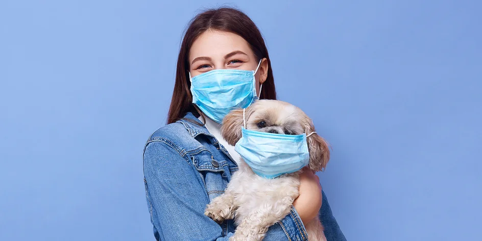 Koronavirus a domácí mazlíčci - vše, co musíte vědět
