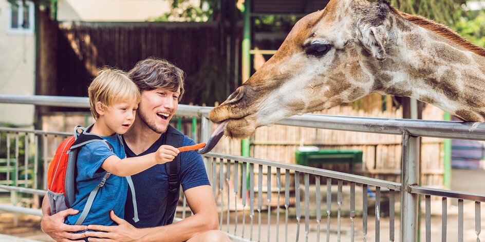50 oblíbených zoo a zookoutků po celém Česku