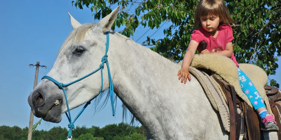 Vyjížďky na koních pro jednoho i pro pár