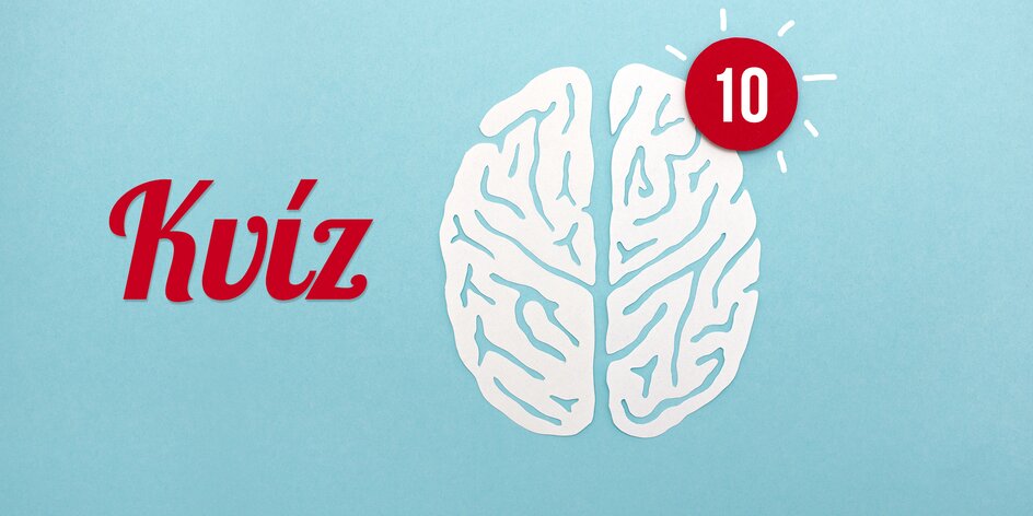 Kvíz: Jak dobře znáte svůj mozek?