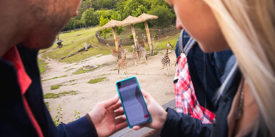 Venkovní hra v Zoo Lešná až pro 2 až 6 osob