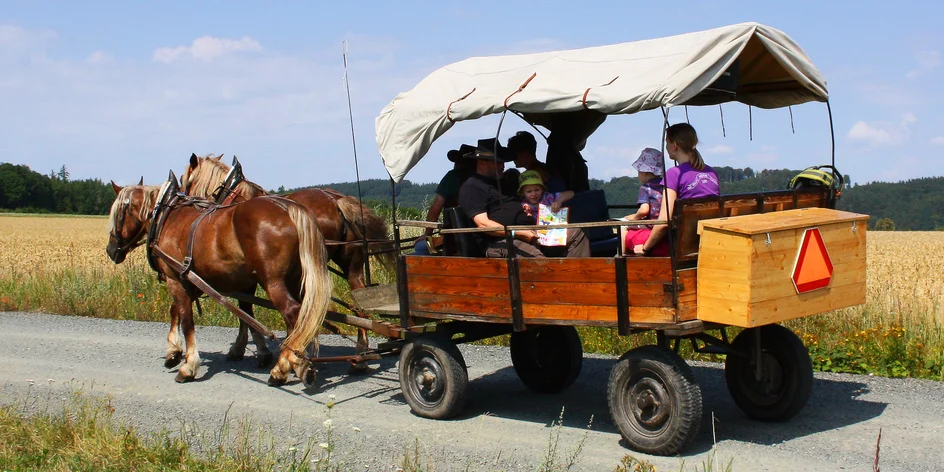 Rodinná jízda koňským povozem na Křivoklátsku