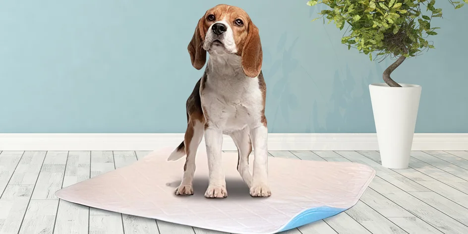 Absorpční pratelné podložky pro vaše mazlíčky