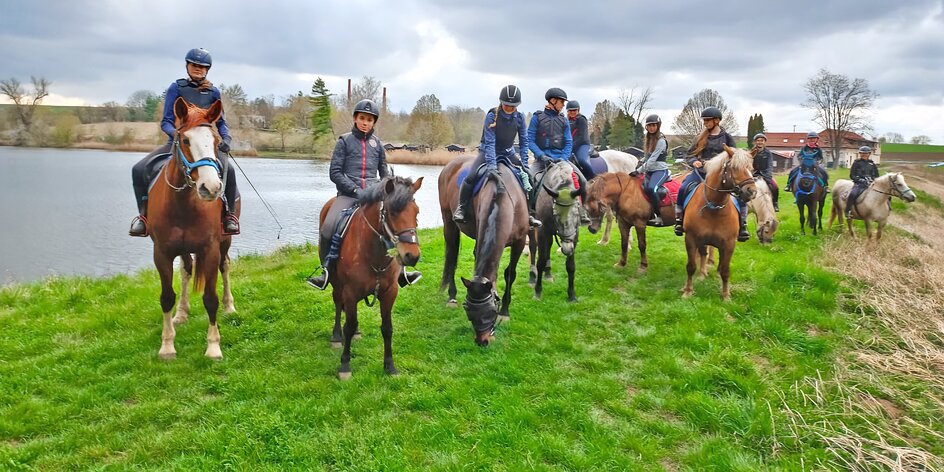 Celodenní výlet na koni pro zkušené jezdce