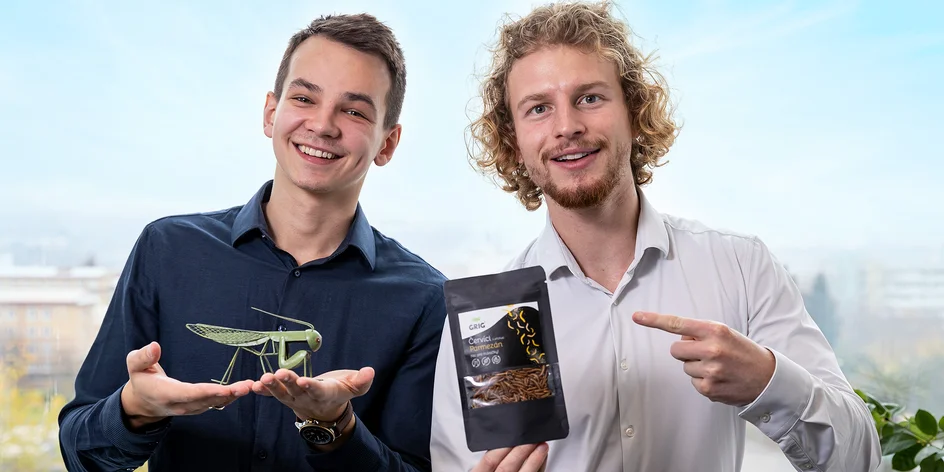 Chutnají jako oříšky! Značka Grig svým jedlým hmyzem dobývá talíře celé Evropy