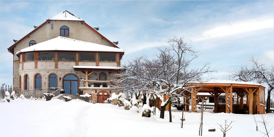 Pobyt u moravských vinic s vínem a polopenzí