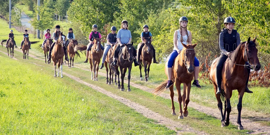 Zábava v sedle: vyjížďka na koni pro děti i dospělé