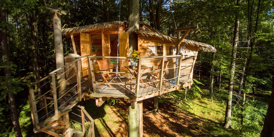 Treehouse na Babím lomě uprostřed lesa