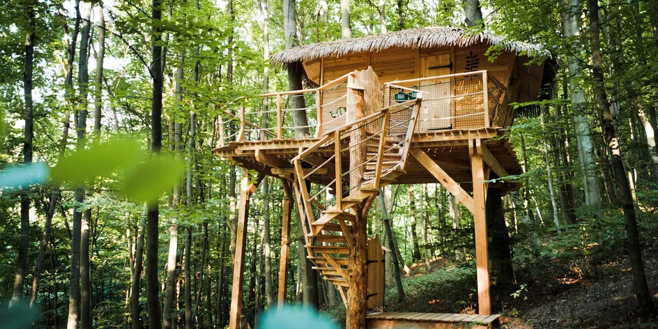 Treehouse u lázeňského města vč. snídaňového koše
