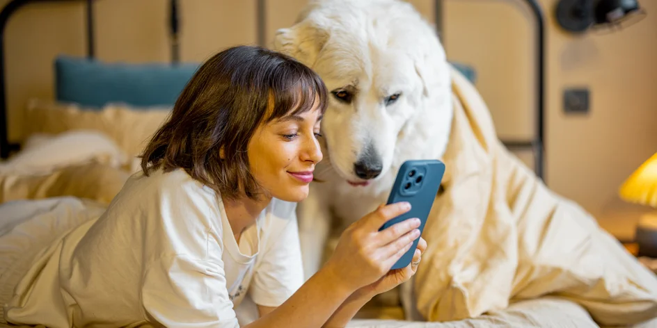 Veterináři v aplikaci online: na 6 až 12 měsíců