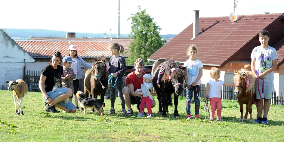 Ošetřovatelem poníka vč. jízdy ve Stáji Merlin