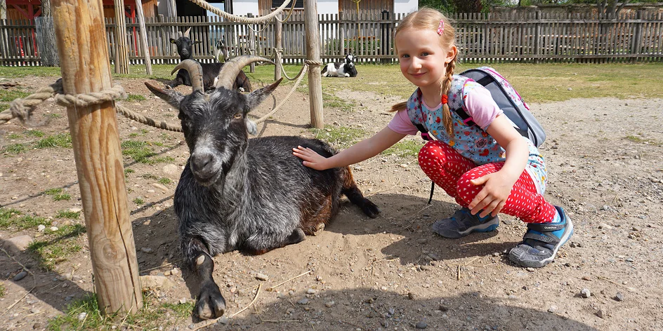 15 zoo a zvířecích parků, které v Rakousku musíte vidět