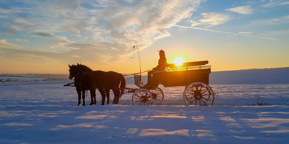 Vyjížďka na koni nebo v kočáře taženém koňmi