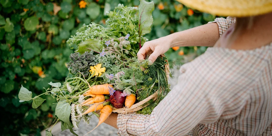 Jedlý park: komentovaná procházka pro 2-10 lidí