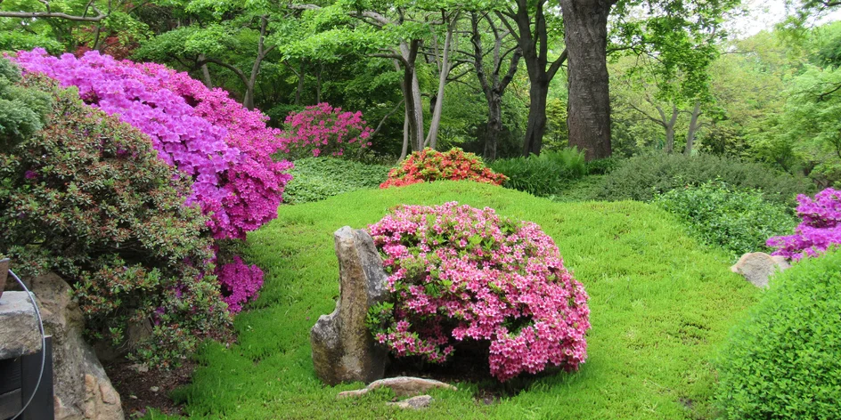 Poradenství na míru pro vaši zahradu