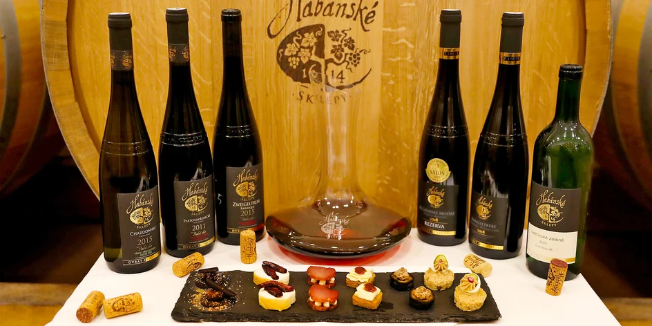 Degustace 6 vín, tapas i prohlídka vinařství pro dva