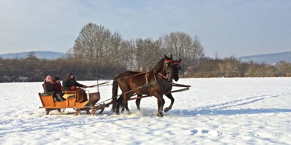 Pobyt na ranči na Tekově: koně, polopenze, wellness