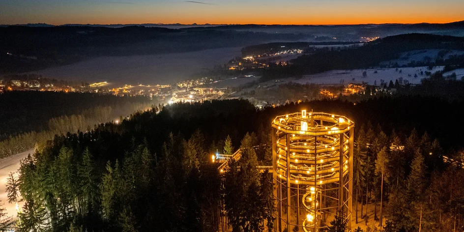 Noční osvětlená stezka v korunách stromů na Lipně