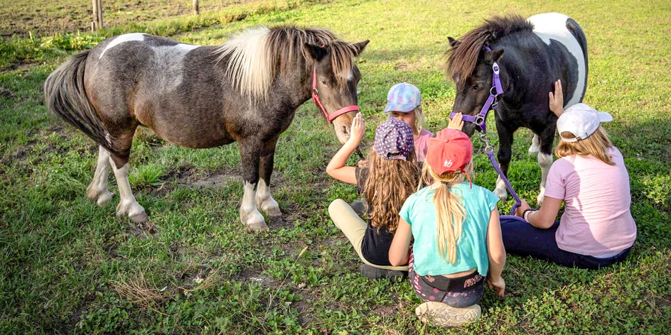 Zážitek s poníkem pro děti od 2,5 do 7 let