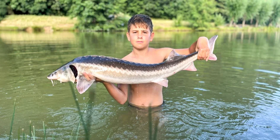 Kurz rybaření pro začátečníky: 1 den na rybníku Ráj