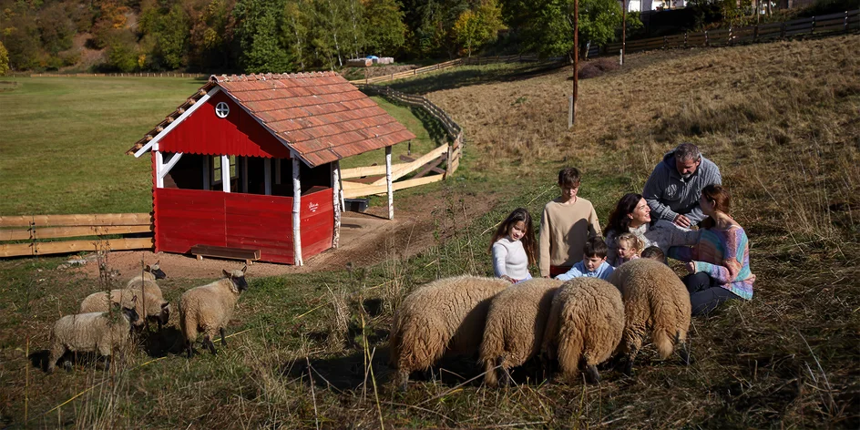Program se zvířátky na statku pro děti i dospělé