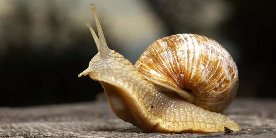 4hodinový individuální kurz focení v přírodě