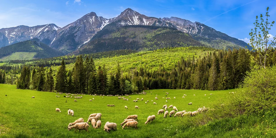 Belianské Tatry: Turistika bez davů, úžasná místa i atrakce pro děti