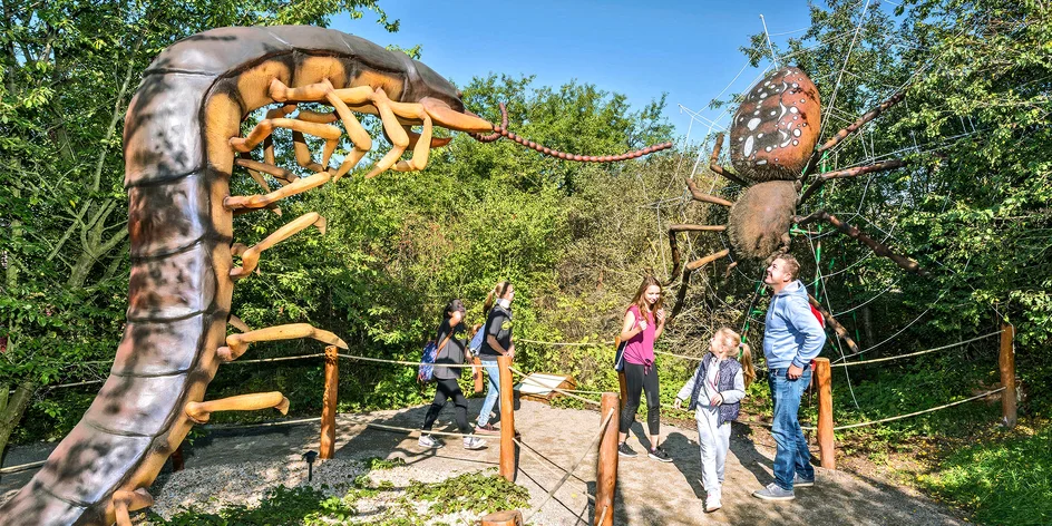 Celodenní vstup do zábavního areálu Fajnpark