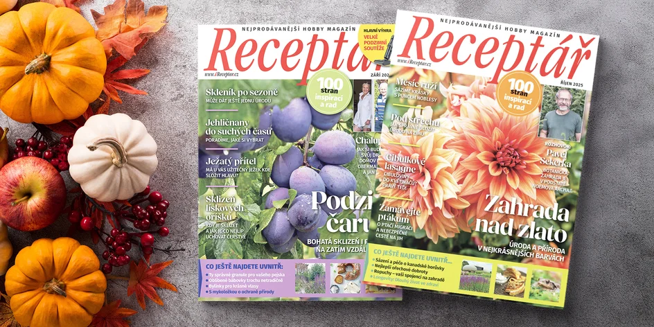Roční předplatné hobby časopisu Receptář