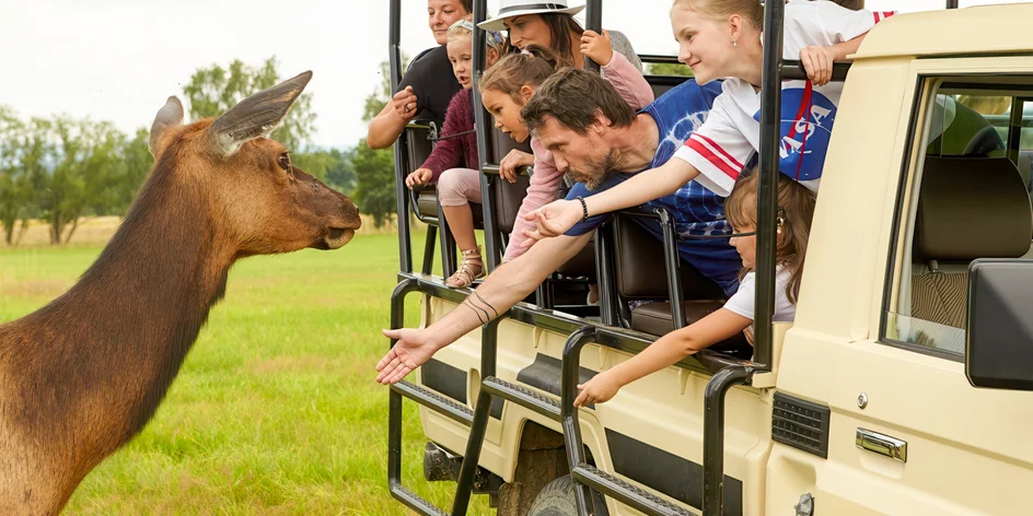60minutová jízda v Offroad Safari: pro 1 i 2 osoby