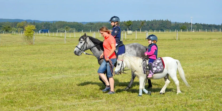 Projížďka na oslíkovi nebo poníkovi pro děti