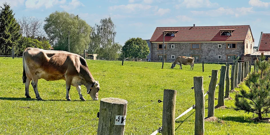 Útulné apartmány na farmě v Posázaví