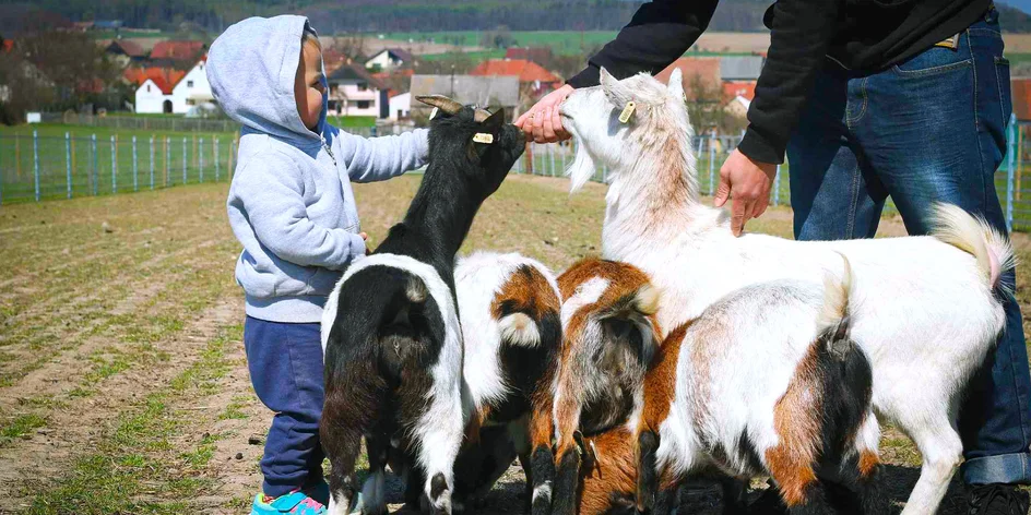 Rodinný vstup na statek se spoustou zvířat